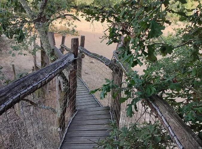 Les Cabanes De Trencalli 农家乐 Castelnau-Rivière-Basse