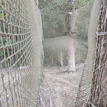 Les Cabanes De Trencalli Castelnau-Rivière-Basse